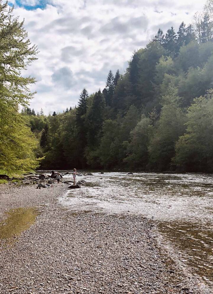 Revitalisierung