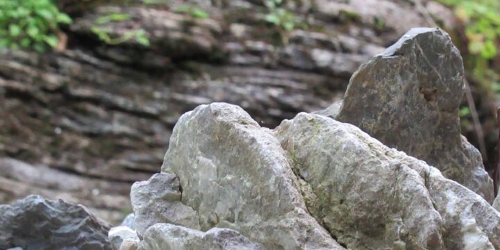 Geologie