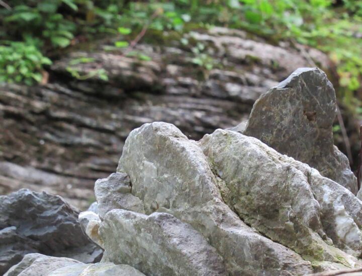 Geologie